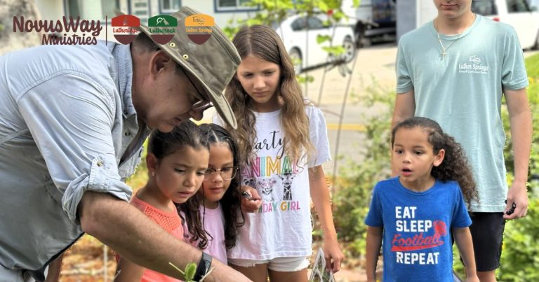 A leader in a bush hat shows a group of young children something in a garden bed