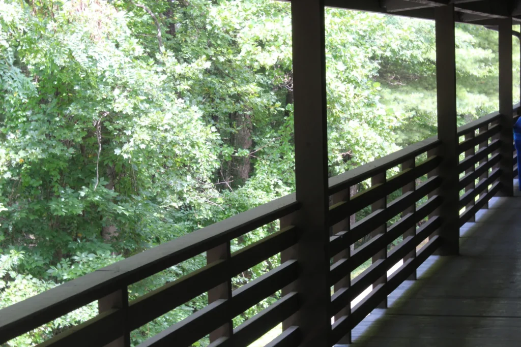 The Kohnjoy Inn balcony looking into the trees