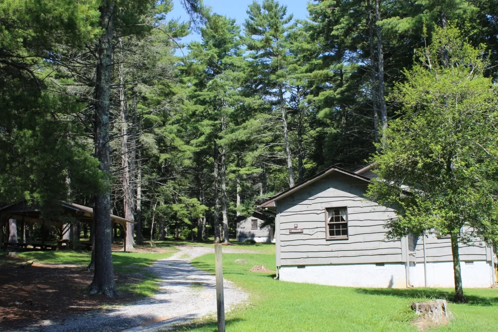 Lakeside Village cabins along a gravel path under the pines