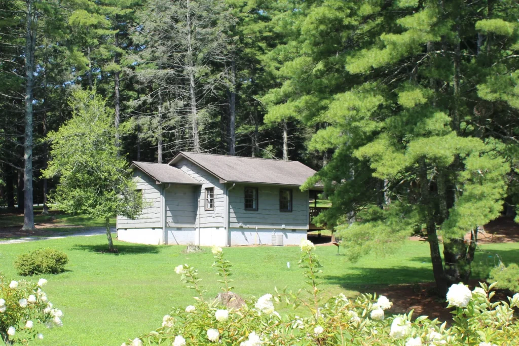 A Lakeside Village cabin behind a bed of white roses