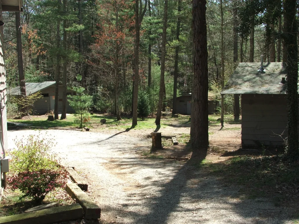 Wilderness Cabins along a gravel path in the pines