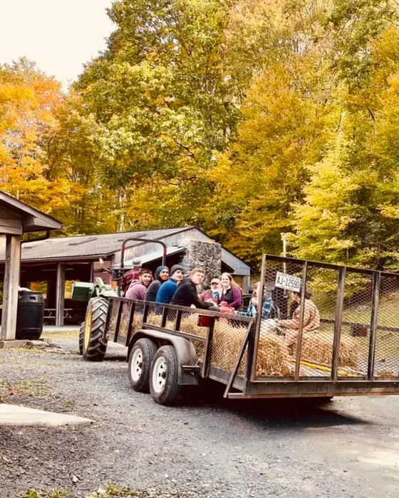 A tractor pulls a hay wagon full of guests past cabins and bright yellow fall trees at Lutherock