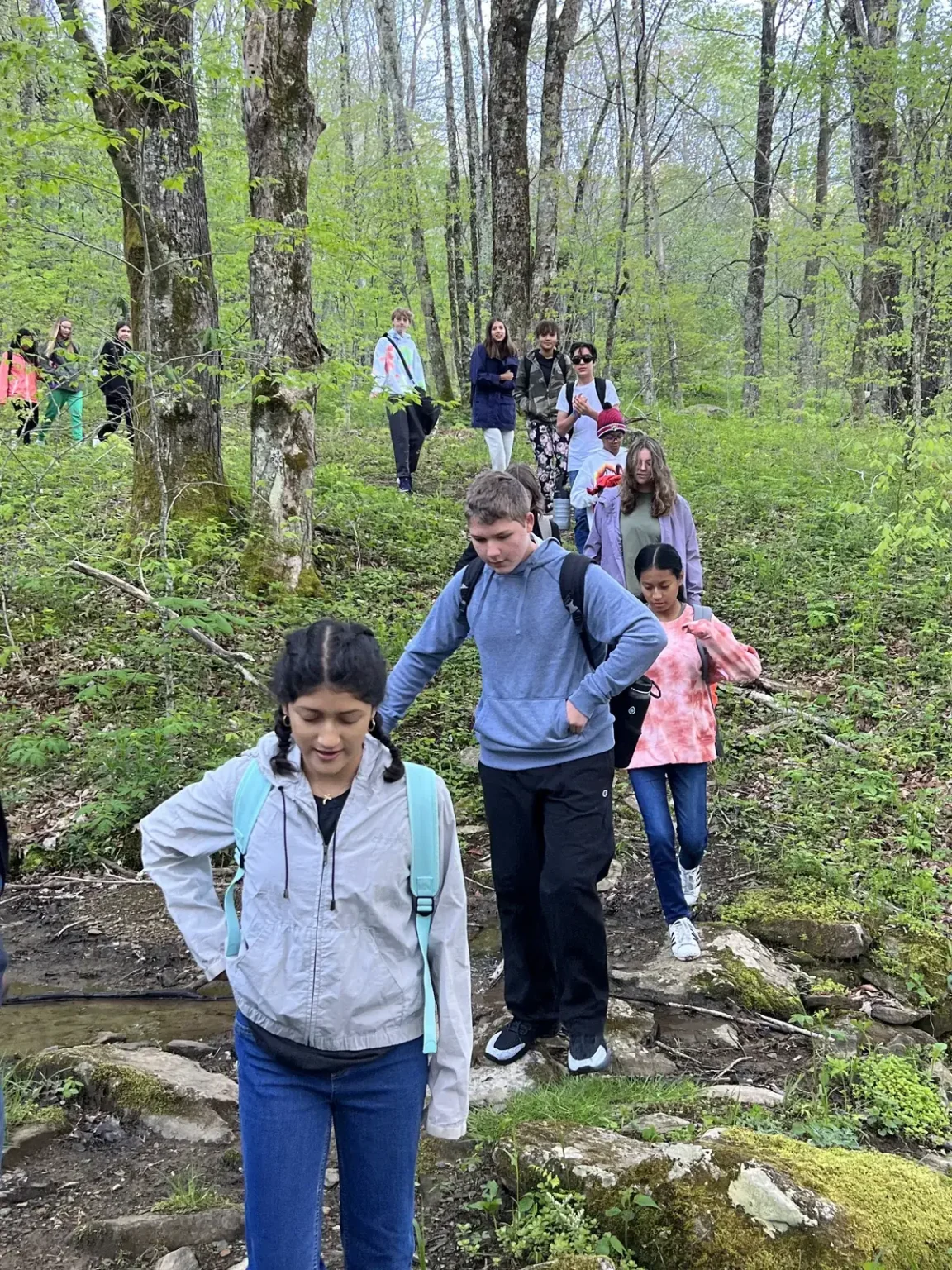 Young hikers stepping down a rocky trail through spring woods.
