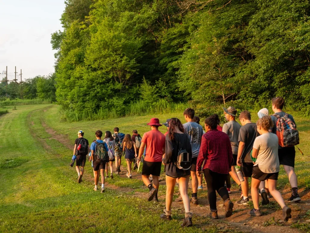 A group of campers with daypacks walking a mown path along the woods at golden hour