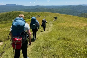 Backpackers walking single file along a grassy mountain bald under a blue sky