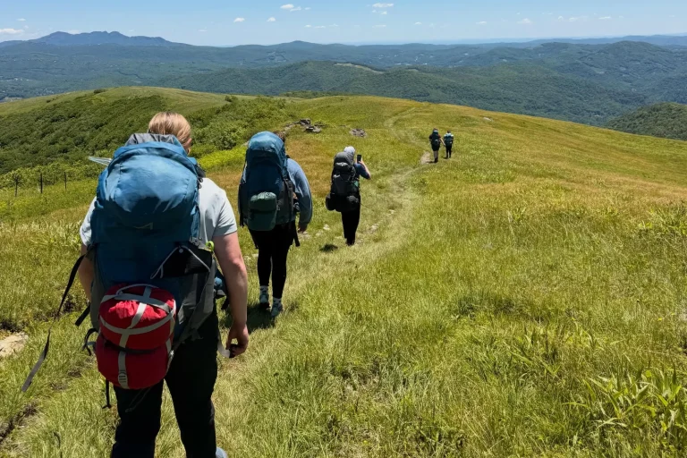 Backpackers walking single file along a grassy mountain bald under a blue sky