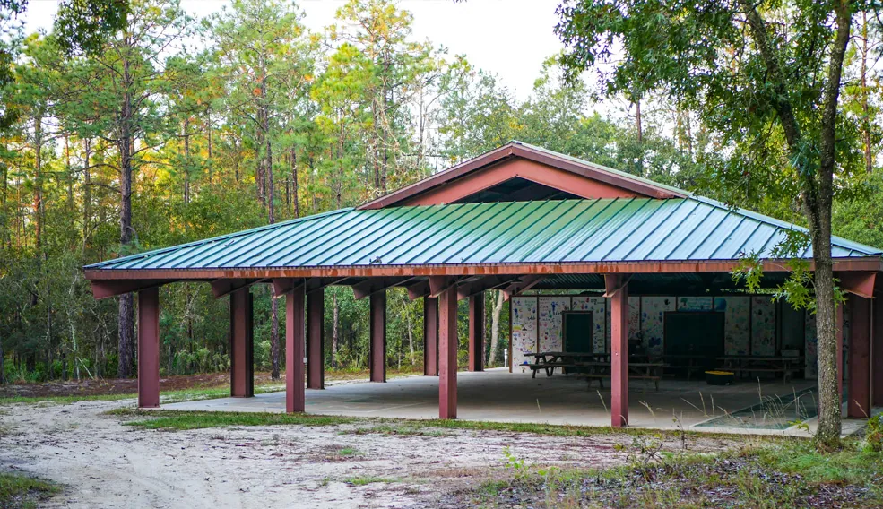 The Morgan/Westfall Pavilion: an open-sided roof over picnic tables in the pines