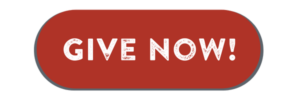 http://weblink.donorperfect.com/novuswaygivingtuesday2022