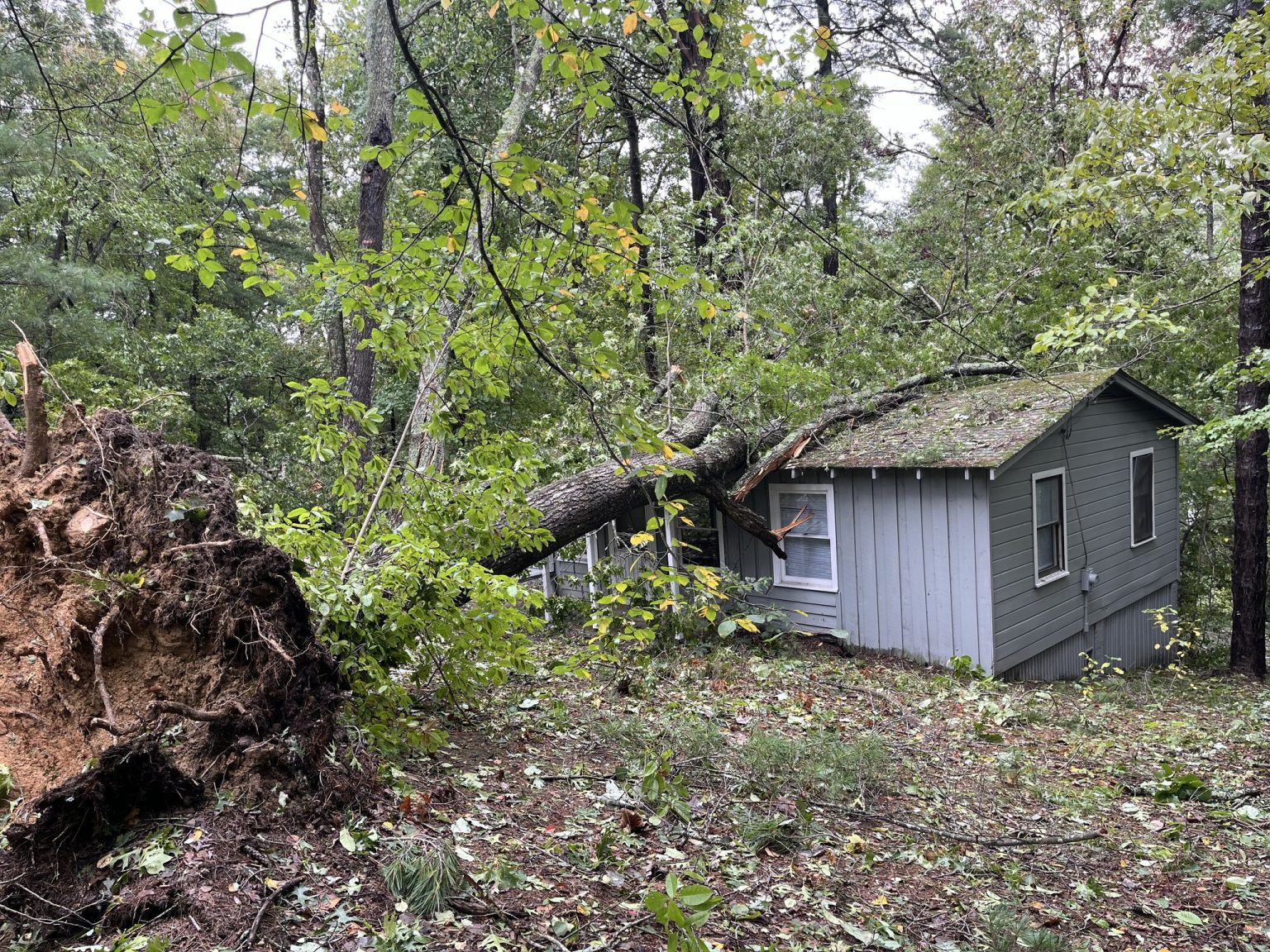 An uprooted tree fallen across the roof of a gray cabin at Lutheridge